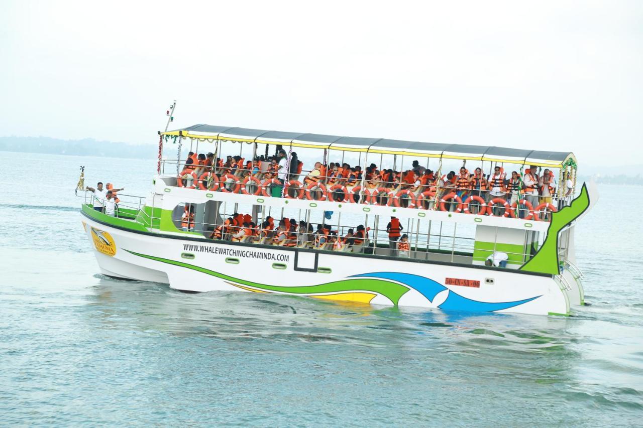 Sun Bird Eco Guest Mirissa Ξενοδοχείο Εξωτερικό φωτογραφία